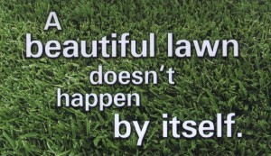 If You Want A Beautiful Lawn - Call Rivertown Lawn Service (231) 625-2382 or (231) 420-2382